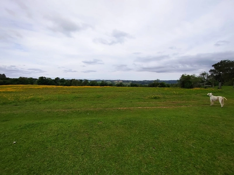 16,68ha em Santa Isabel.: 10ª foto da galeria de imagens do imóvel