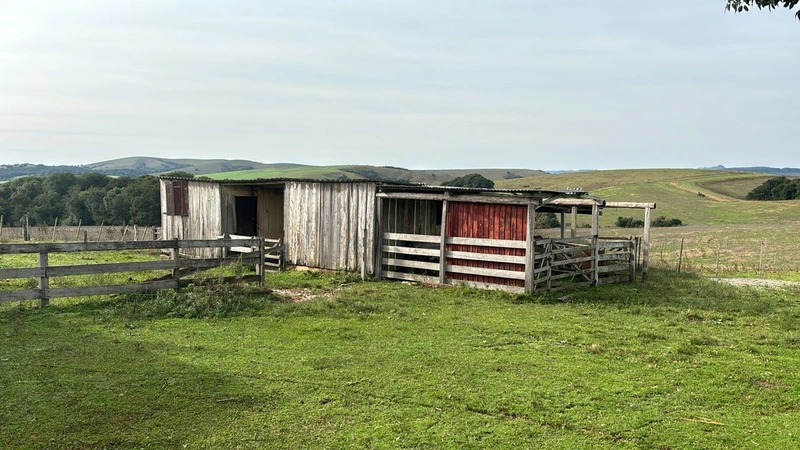 526ha na região sul do RS.: 8ª foto da galeria de imagens do imóvel