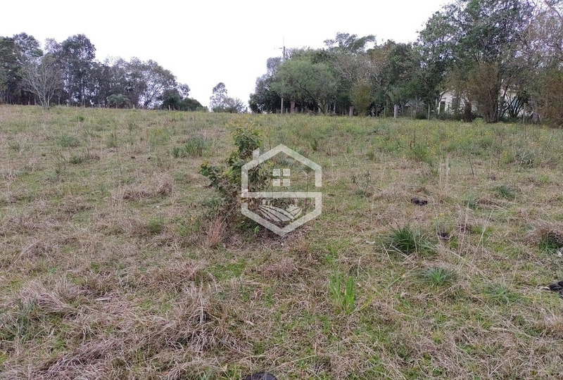 Chácara 20 hectares em Sentinela do Sul.: 8ª foto da galeria de imagens do imóvel
