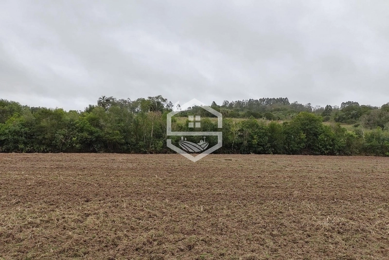 Chácara 20 hectares em Sentinela do Sul.: 1ª foto da galeria de imagens do imóvel
