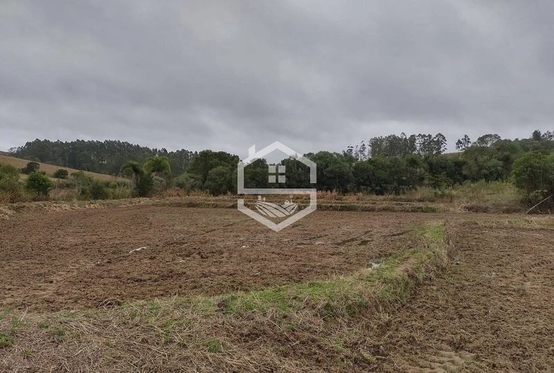 Chácara 20 hectares em Sentinela do Sul.: 6ª foto da galeria de imagens do imóvel