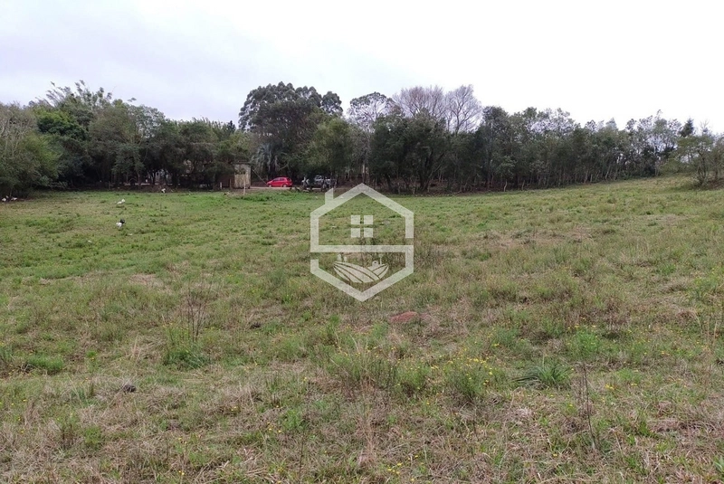 Chácara 20 hectares em Sentinela do Sul.: 7ª foto da galeria de imagens do imóvel