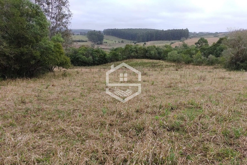 Chácara 20 hectares em Sentinela do Sul.: 4ª foto da galeria de imagens do imóvel