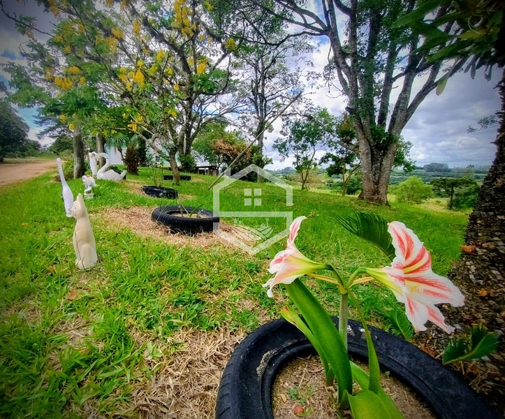 Ponto comercial á 14km do centro de Camaquã.: 1ª foto da galeria de imagens do imóvel