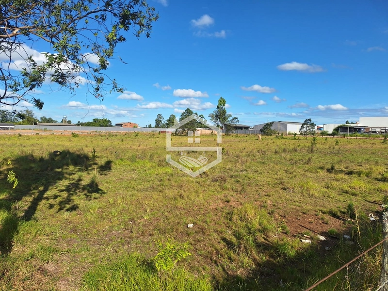 TERRENO 2MIL M² EM EXCELENTE LOCALIZAÇÃO: 5ª foto da galeria de imagens do imóvel