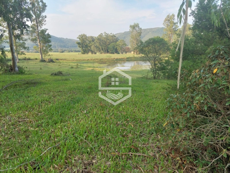 Sitio com 25ha em Cristal RS.: 4ª foto da galeria de imagens do imóvel