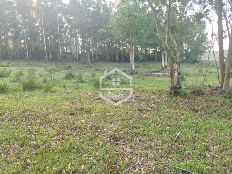 Sitio com 25ha em Cristal RS.: 5ª foto da galeria de imagens do imóvel