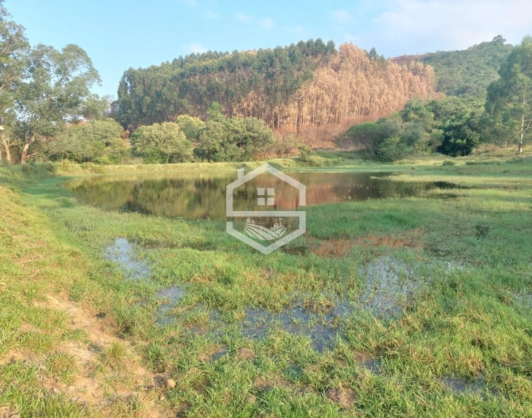 Sitio com 25ha em Cristal RS.: 1ª foto da galeria de imagens do imóvel