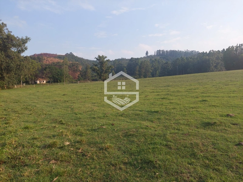 Sitio com 25ha em Cristal RS.: 3ª foto da galeria de imagens do imóvel