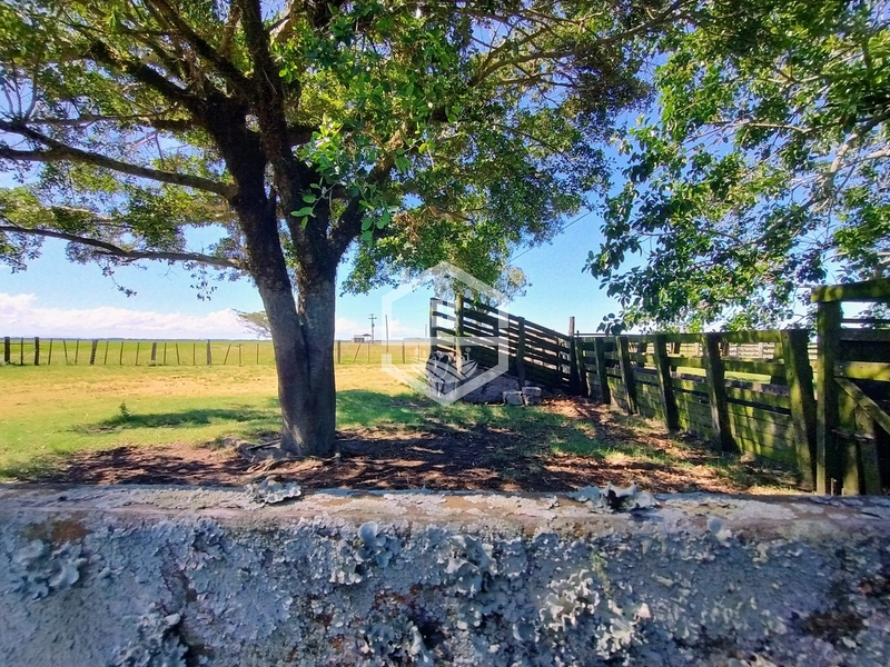 173ha de Campo e lavoura...: 15ª foto da galeria de imagens do imóvel