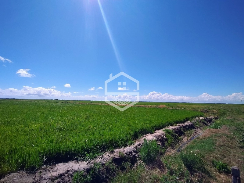 173ha de Campo e lavoura...: 6ª foto da galeria de imagens do imóvel
