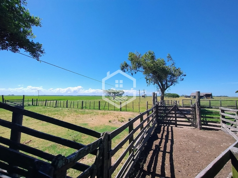 173ha de Campo e lavoura...: 9ª foto da galeria de imagens do imóvel