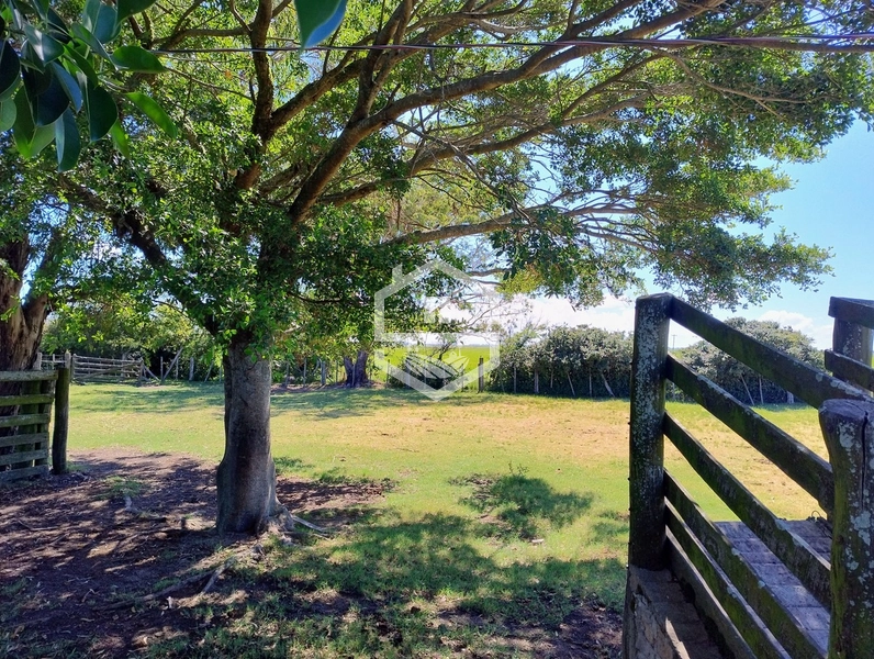 173ha de Campo e lavoura...: 10ª foto da galeria de imagens do imóvel