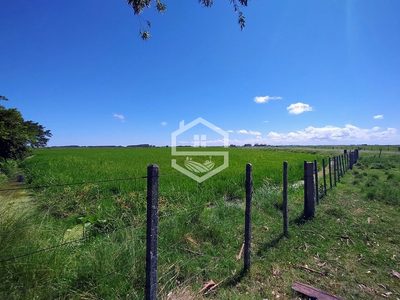 173ha de Campo e lavoura...: 4ª foto da galeria de imagens do imóvel