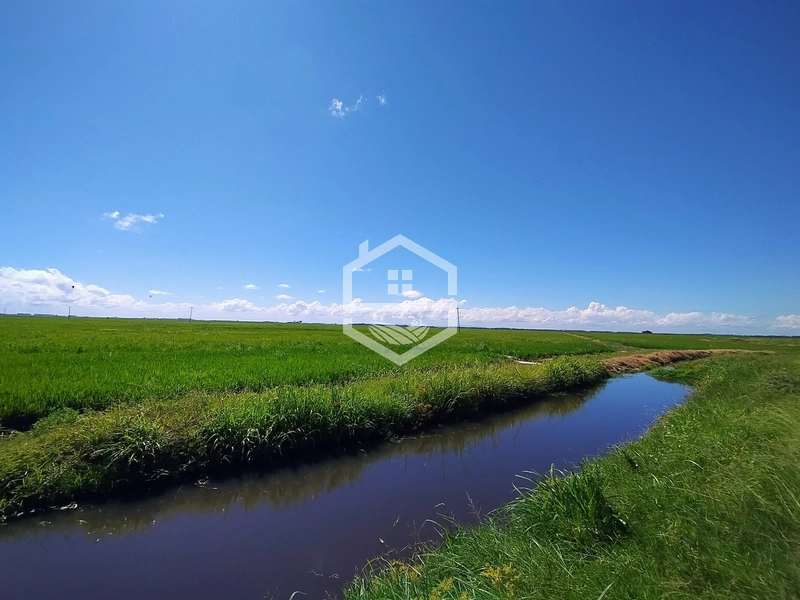 173ha de Campo e lavoura...: 18ª foto da galeria de imagens do imóvel
