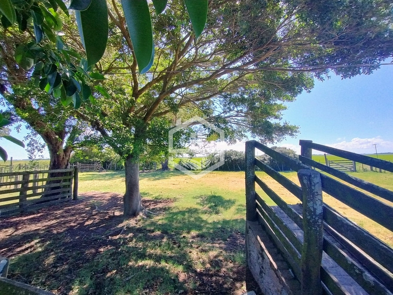 173ha de Campo e lavoura...: 8ª foto da galeria de imagens do imóvel