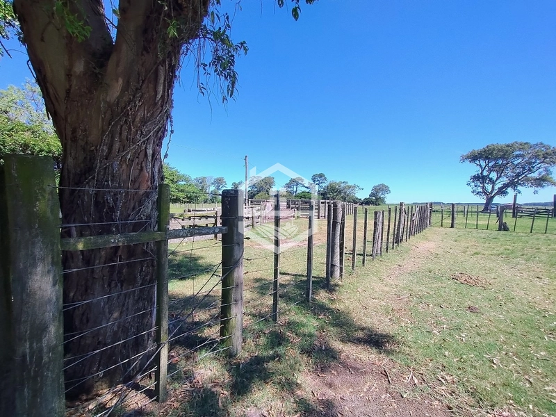 173ha de Campo e lavoura...: 14ª foto da galeria de imagens do imóvel