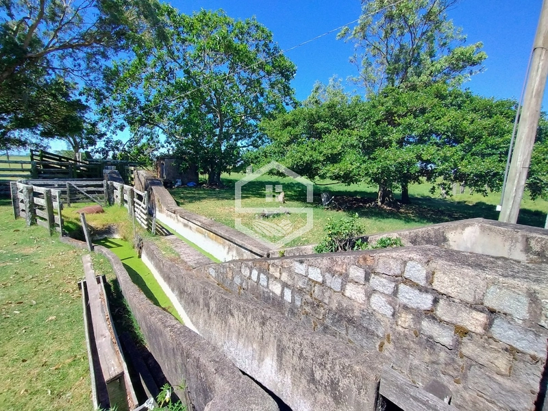 173ha de Campo e lavoura...: 16ª foto da galeria de imagens do imóvel
