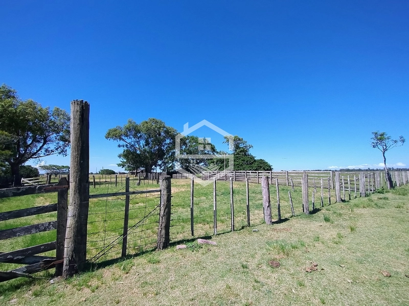 173ha de Campo e lavoura...: 7ª foto da galeria de imagens do imóvel
