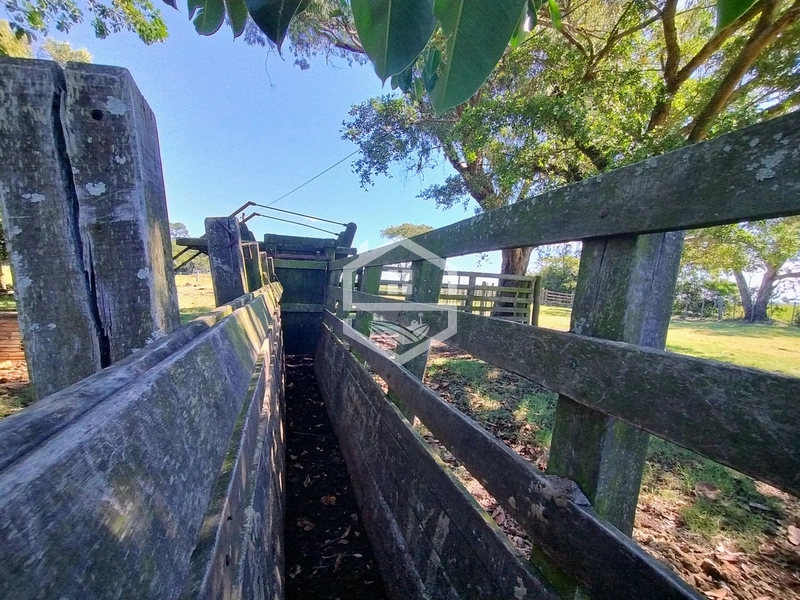 173ha de Campo e lavoura...: 11ª foto da galeria de imagens do imóvel