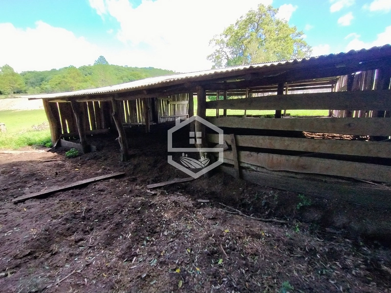 : 11ª foto da galeria de imagens do imóvel