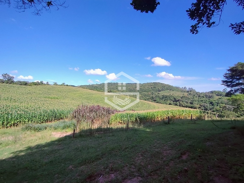 27ha interior de Camaquã.: 7ª foto da galeria de imagens do imóvel
