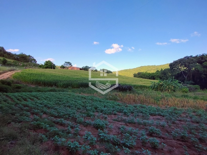 27ha interior de Camaquã.: 10ª foto da galeria de imagens do imóvel