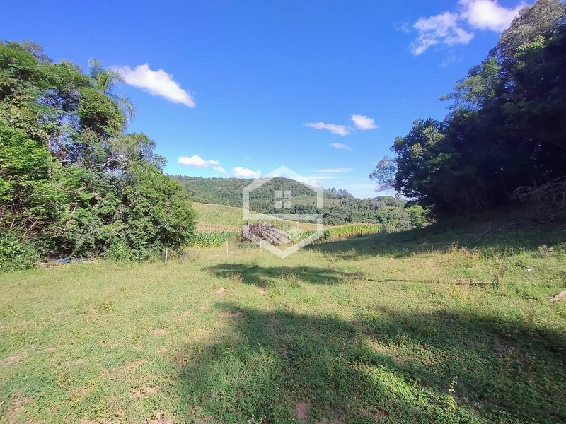 27ha interior de Camaquã.: 12ª foto da galeria de imagens do imóvel