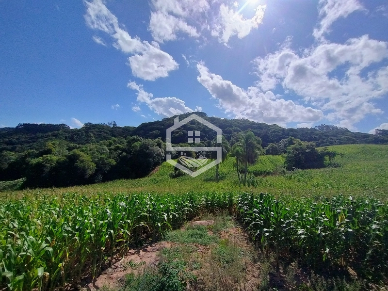 27ha interior de Camaquã.: 11ª foto da galeria de imagens do imóvel