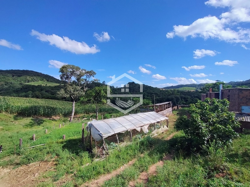 27ha interior de Camaquã.: 3ª foto da galeria de imagens do imóvel