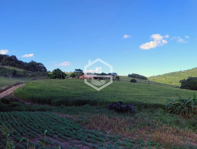27ha interior de Camaquã.: 6ª foto da galeria de imagens do imóvel