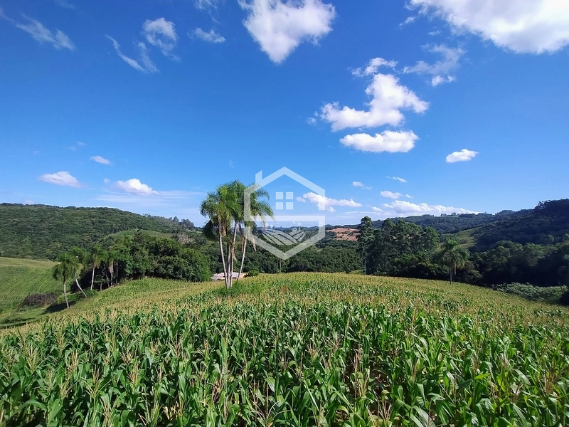 27ha interior de Camaquã.: 9ª foto da galeria de imagens do imóvel