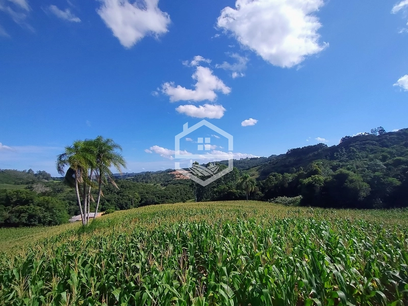 27ha interior de Camaquã.: 8ª foto da galeria de imagens do imóvel