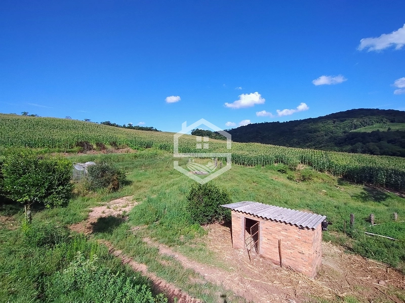 27ha interior de Camaquã.: 4ª foto da galeria de imagens do imóvel
