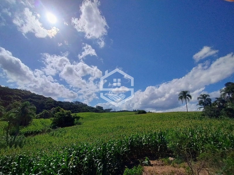 27ha interior de Camaquã.: 1ª foto da galeria de imagens do imóvel