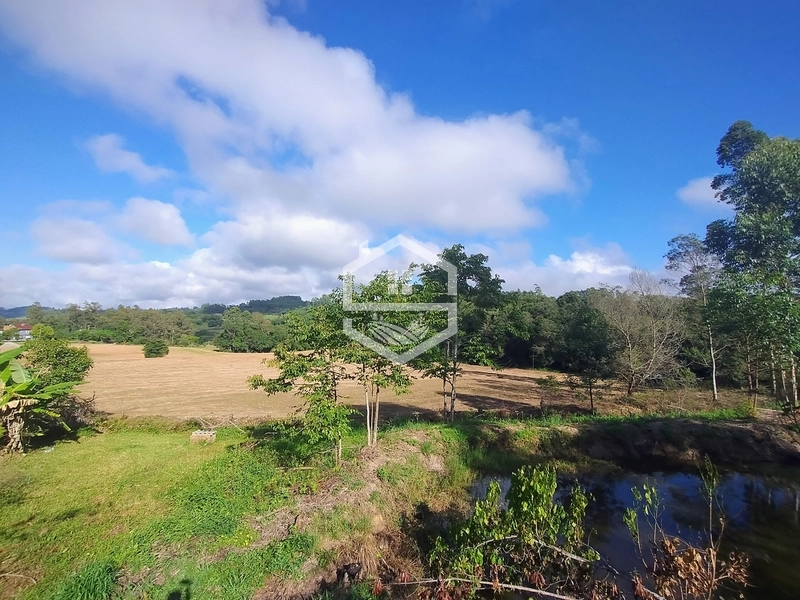 2,5ha em Próxima a RS-350.: 7ª foto da galeria de imagens do imóvel