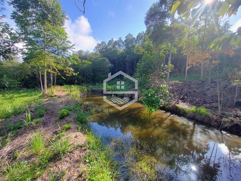 2,5ha em Próxima a RS-350.: 5ª foto da galeria de imagens do imóvel