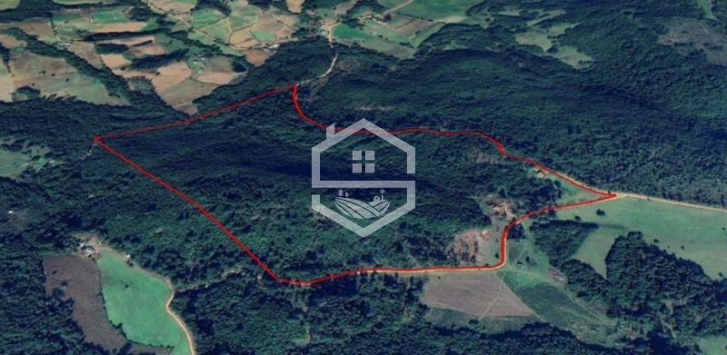 40ha interior de Chuvisca.: 4ª foto da galeria de imagens do imóvel