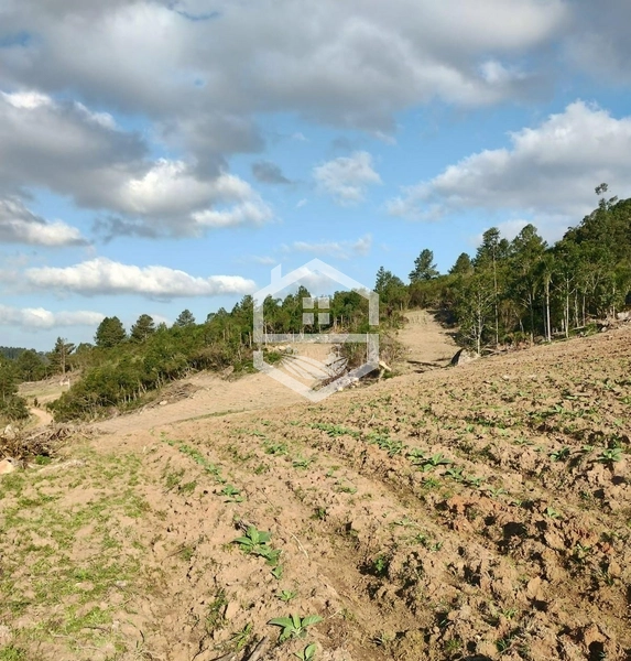 40ha interior de Chuvisca.: 2ª foto da galeria de imagens do imóvel