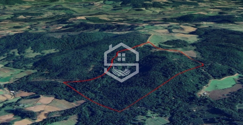 40ha interior de Chuvisca.: 5ª foto da galeria de imagens do imóvel