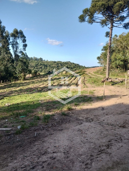 40ha interior de Chuvisca.: 1ª foto da galeria de imagens do imóvel