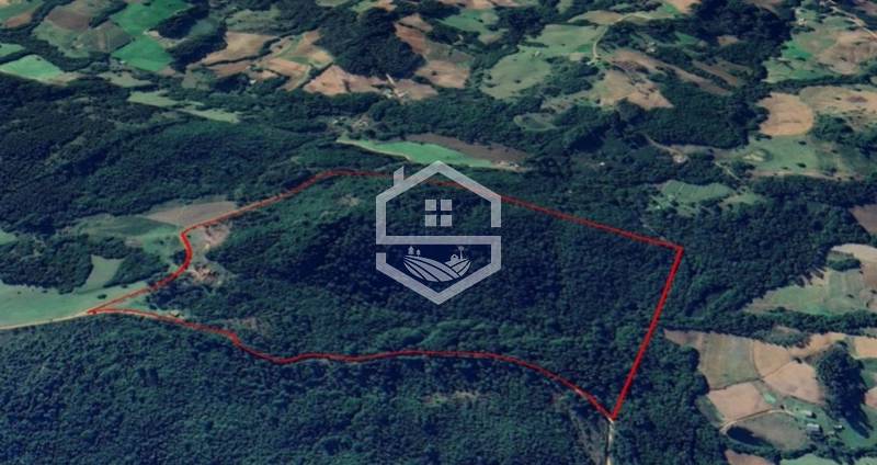 40ha interior de Chuvisca.: 7ª foto da galeria de imagens do imóvel