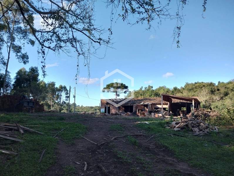 40ha interior de Chuvisca.: 8ª foto da galeria de imagens do imóvel