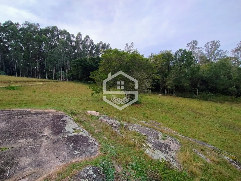 5,7ha com Fácil acesso a BR-116.: 3ª foto da galeria de imagens do imóvel