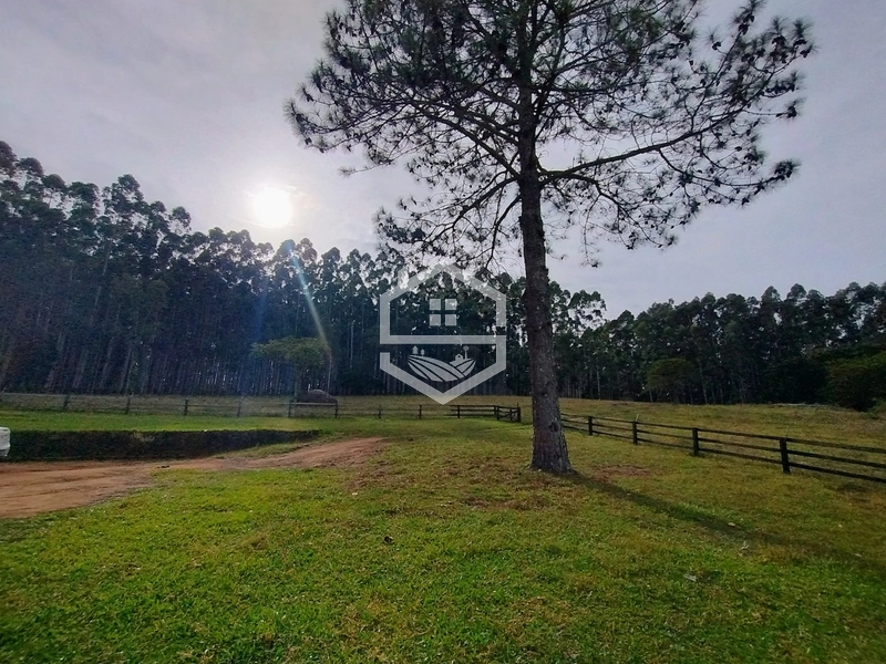 5,7ha com Fácil acesso a BR-116.: 23ª foto da galeria de imagens do imóvel