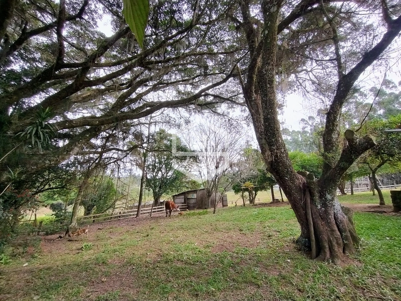 5,7ha com Fácil acesso a BR-116.: 9ª foto da galeria de imagens do imóvel