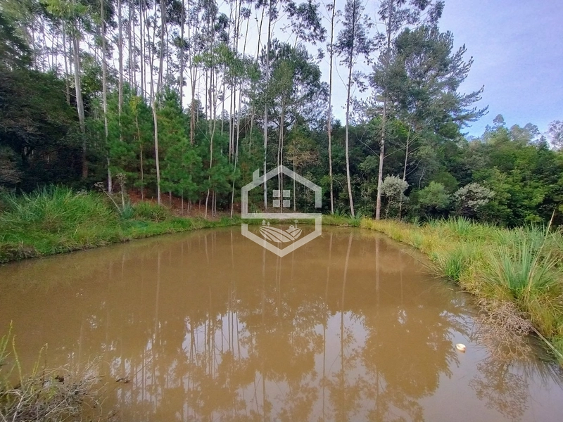 5,7ha com Fácil acesso a BR-116.: 15ª foto da galeria de imagens do imóvel