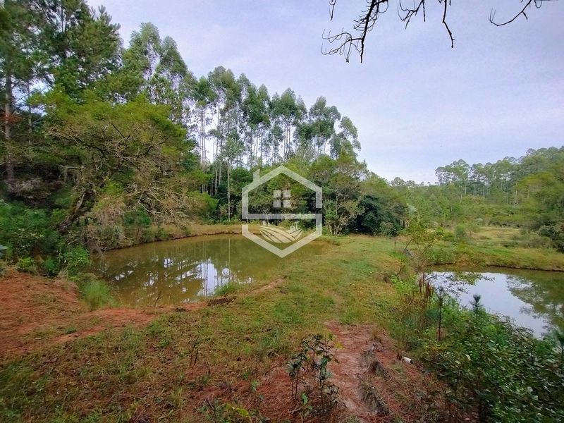 5,7ha com Fácil acesso a BR-116.: 18ª foto da galeria de imagens do imóvel