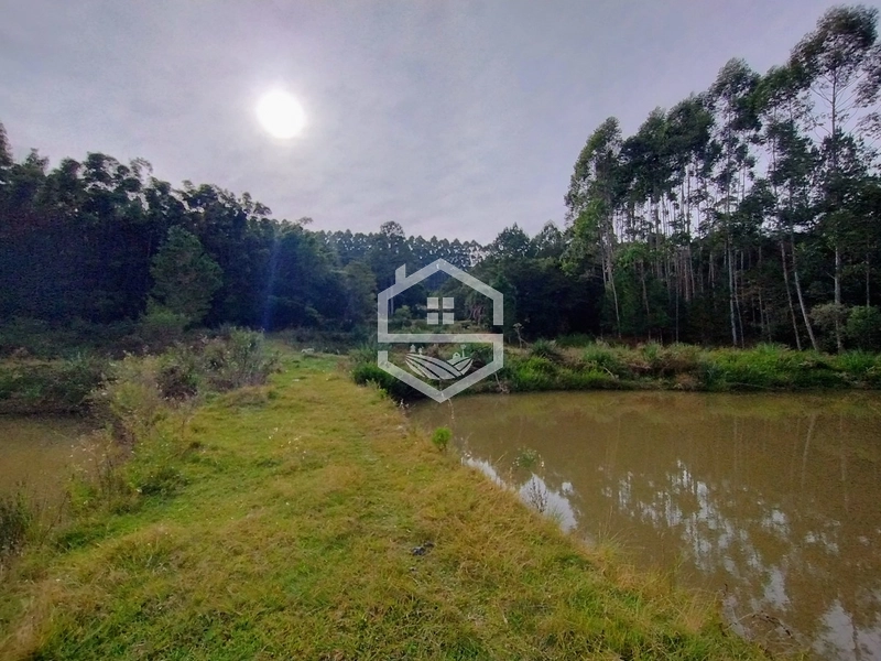 5,7ha com Fácil acesso a BR-116.: 1ª foto da galeria de imagens do imóvel