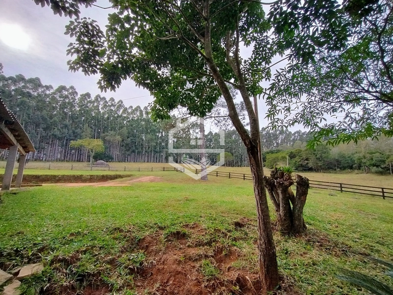 5,7ha com Fácil acesso a BR-116.: 21ª foto da galeria de imagens do imóvel